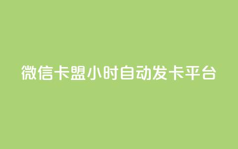 微信卡盟24小时自动发卡平台 - 最佳SEO实践：全天候自动发卡平台,微信卡盟买卡24小时服务~ 第1张