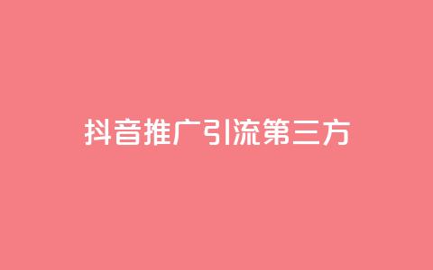 抖音推广引流第三方 - 抖音业务下单24小时子子铺子 第1张