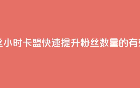 24小时卡盟粉丝 - 24小时卡盟：快速提升粉丝数量的有效策略。 第1张