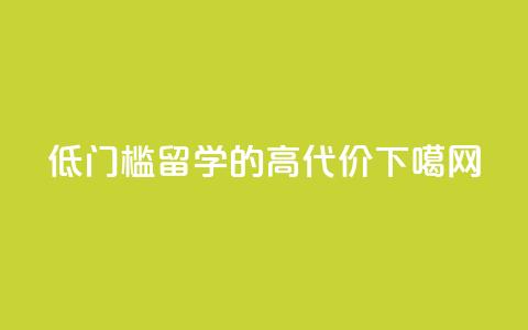 “低门槛”留学的“高代价” 第1张