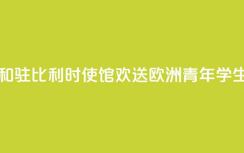 中国驻欧盟使团和驻比利时使馆“欢送”欧洲青年学生赴华留学 第1张