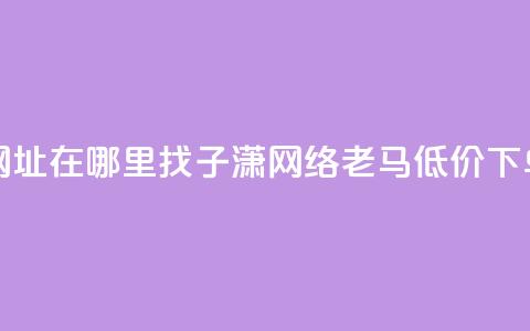 快手点网址在哪里找 - 子潇网络老马低价下单 第1张