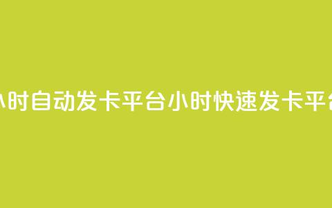 24小时自动发卡平台(24小时快速发卡平台) 第1张