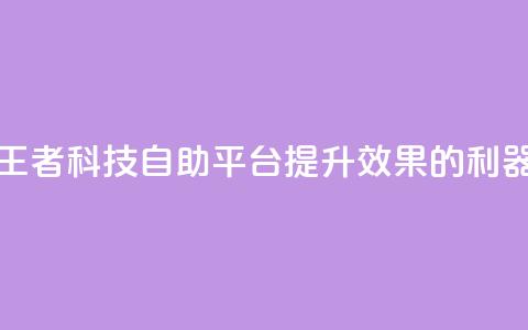 王者科技自助平台：提升SEO效果的利器 第1张