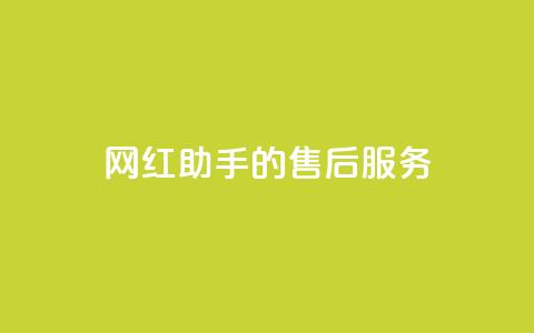 网红助手的售后服务,qq空间访问10人怎么弄 - 全网24小时自助下单网站在线 qq空间免费点赞赞 第1张