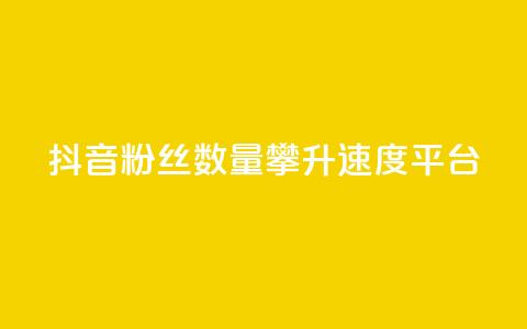 抖音粉丝数量攀升速度平台 第1张