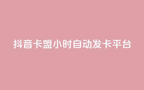 抖音卡盟24小时自动发卡平台,颜夕卡盟 - 全网辅助货源站 快手点赞评论软件微信支付 第1张