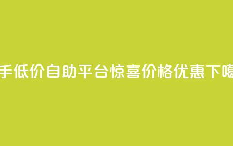 快手低价自助平台惊喜价格优惠 第1张