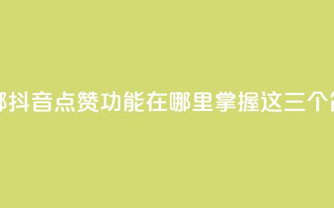 抖音点赞在哪哪 - 抖音点赞功能在哪里？掌握这三个简单步骤！~ 第1张