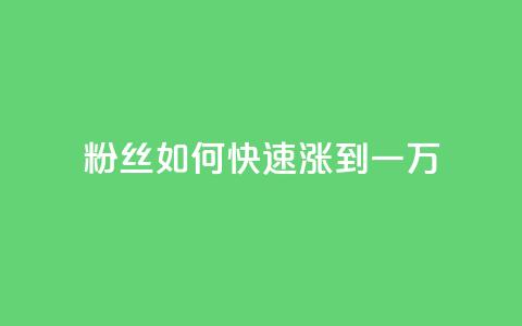 粉丝如何快速涨到一万,空间自助平台业务下单真人 - 自助下单24小时平台ks 全网发卡网大全 第1张