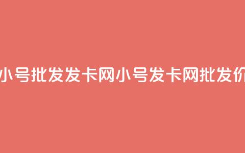 vx小号批发发卡网(VX小号发卡网批发价) 第1张