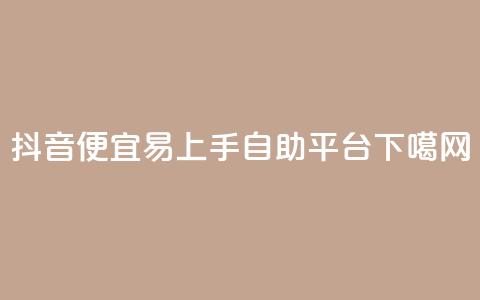 抖音便宜易上手自助平台 第1张