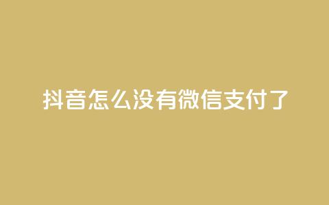 抖音怎么没有微信支付了,全网最低价业务平台快手业务 - 快手刷热门软件免费 抖音如何关闭点赞 第1张