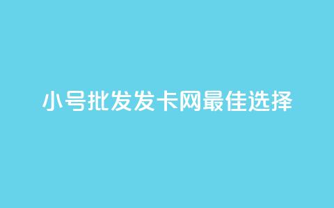 小号批发发卡网VX：最佳选择 第1张