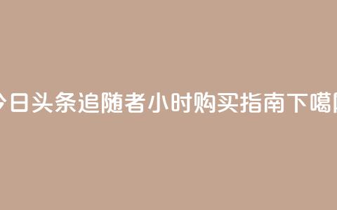 今日头条追随者24小时购买指南 第1张