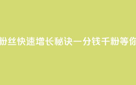 抖音粉丝快速增长秘诀，一分钱千粉等你来抢 第1张