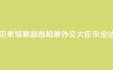 王毅会见柬埔寨副首相兼外交大臣宋金达 第1张