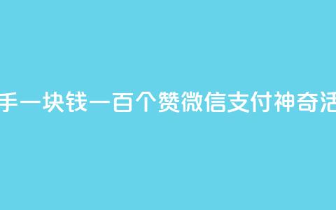 快手一块钱一百个赞微信支付神奇活动 第1张