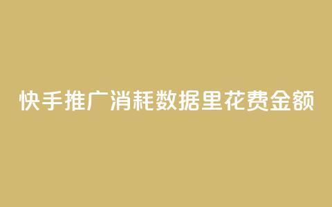 快手推广消耗数据里花费金额,抖音一元涨粉1000暗号 - 快手点赞赞在线下单秒 免费刷qq浏览量的网站 第1张