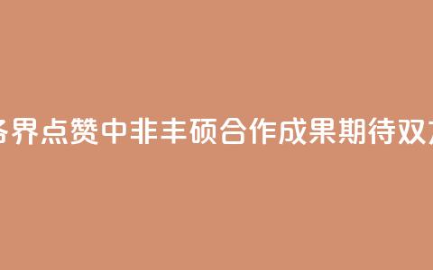 【中国那些事儿】非洲各界点赞中非丰硕合作成果 期待双方深化合作、携手共赢 第1张