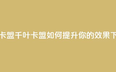 千叶卡盟(千叶卡盟如何提升你的SEO效果？) 第1张