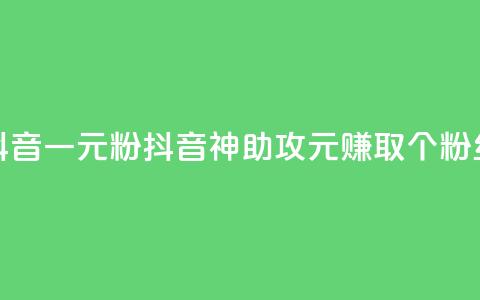 抖音一元1000粉(抖音神助攻：1元赚取1000个粉丝) 第1张