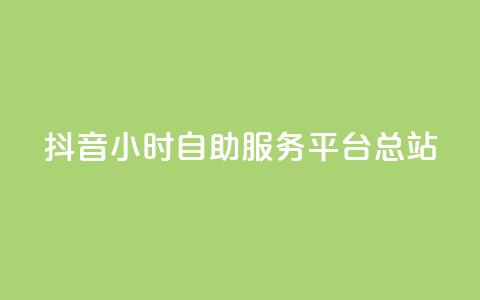 抖音24小时自助服务平台总站 - 抖音全天候自助服务平台一站式解决方案！ 第1张