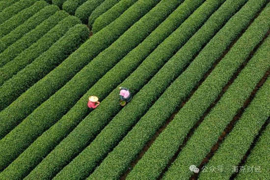 新茶饮还能卷什么？ 第2张