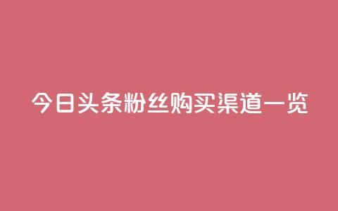 今日头条粉丝购买渠道一览 第1张