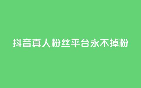 抖音真人粉丝平台 永不掉粉 - 抖音真人粉丝长期稳定平台！ 第1张