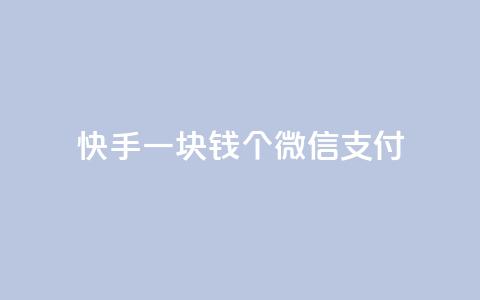 快手一块钱100个微信支付,全网最便宜卡盟 - 自助下单 最专业的平台 低价卡盟全网低价科技 第1张