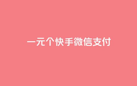 一元10个快手微信支付 - 快手点器怎样使用视频教程 第1张