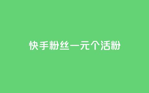 快手粉丝一元1000个活粉 - 快手粉丝活粉达1千个，仅需1元！! 第1张