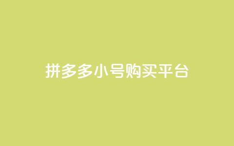 拼多多小号购买平台 - 彩虹正版授权查询下单 第1张