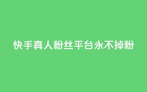 快手真人粉丝平台 永不掉粉,粉丝商城 - dy免费24小时下单网站最新版 抖音评论业务下单24小时 第1张