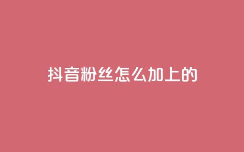 抖音粉丝怎么加上的,24小时自助点赞下单网站 - 卡盟最低自助下单官网 抖音一毛十赞 第1张