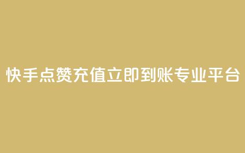 快手点赞充值立即到账专业平台 第1张