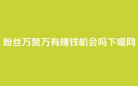 粉丝1万+赞47万，有赚钱机会吗？ 第1张