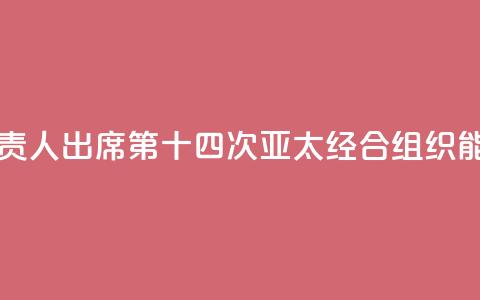 中国国家能源局负责人出席第十四次亚太经合组织能源部长会议 第1张