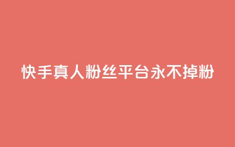 快手真人粉丝平台 永不掉粉,快手在线下单平台全网最低价 - 抖音刷1000粉入口 全网最便宜卡盟 第1张