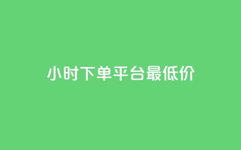 24小时下单平台最低价 - 全天候最低价下单平台推荐~ 第1张