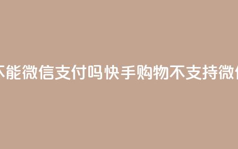 快手买东西不能微信支付吗 - 快手购物不支持微信支付？！ 第1张