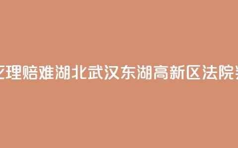 一男子网上投保后猝死理赔难 湖北武汉东湖高新区法院判决保险公司赔付30万元 第1张