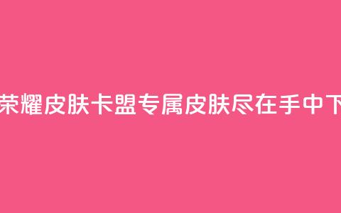 王者荣耀皮肤卡盟 专属皮肤尽在手中 第1张