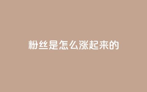 粉丝是怎么涨起来的,ks免费业务平台便宜 - 王者主页秒赞网 快手流量推广网站 第1张