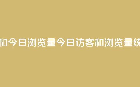 今日访客和今日浏览量(今日访客和浏览量统计) 第1张