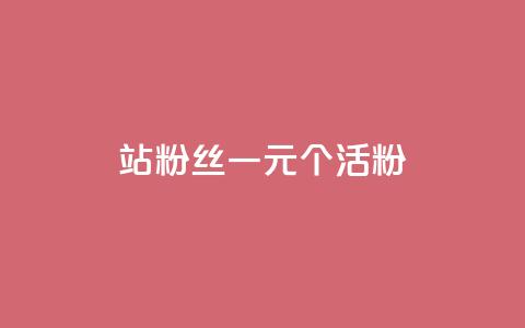 b站粉丝一元1000个活粉,快手赞1万 - ks播放量业务免费 QQ免费获得点赞 第1张