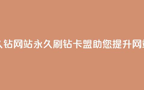 刷钻卡盟永久钻网站(永久刷钻卡盟助您提升网站权重) 第1张