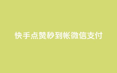 快手点赞秒到帐微信支付,qq访客量增加网站免费 - KS业务下单软件 全网最低价业务网站 第1张