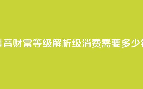 抖音财富等级解析：24级消费需要多少钱 第1张